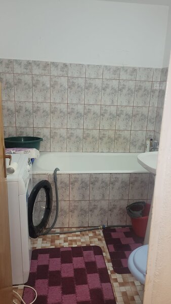 Colentina Teiul Doamnei