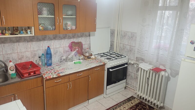 Colentina Teiul Doamnei