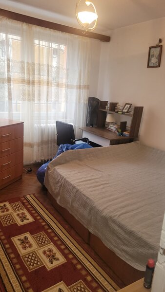 Colentina Teiul Doamnei