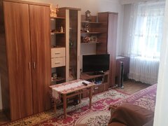 Colentina Teiul Doamnei