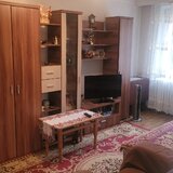 Colentina Teiul Doamnei